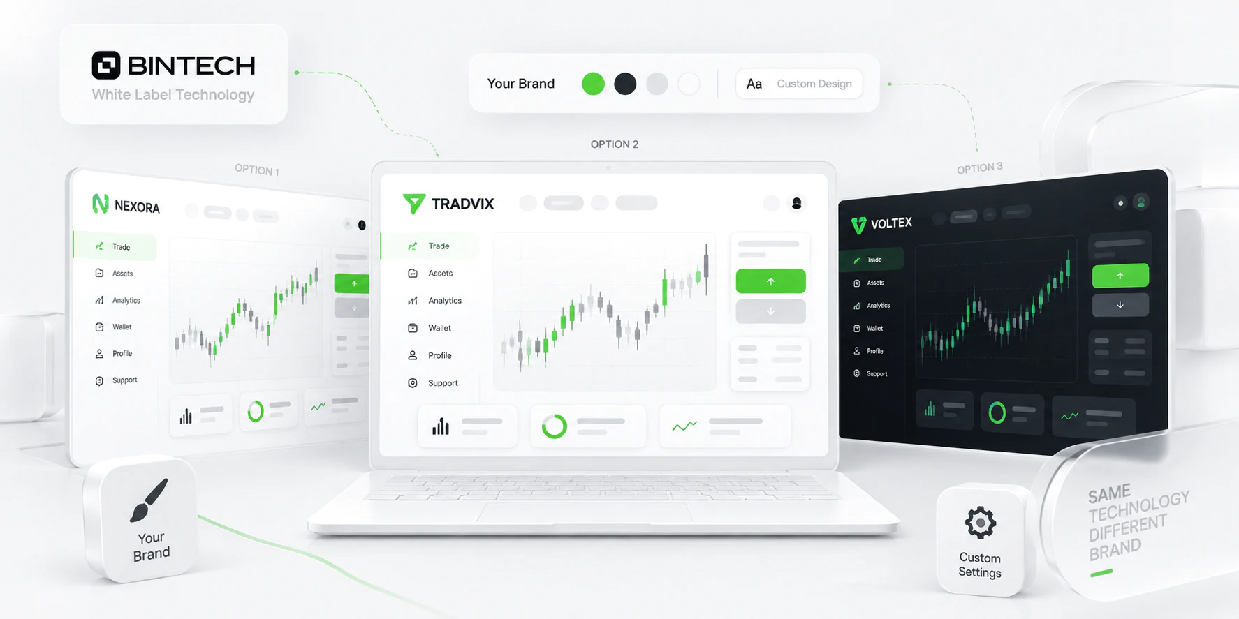 Брендинг и кастомизация White Label платформы Bintech